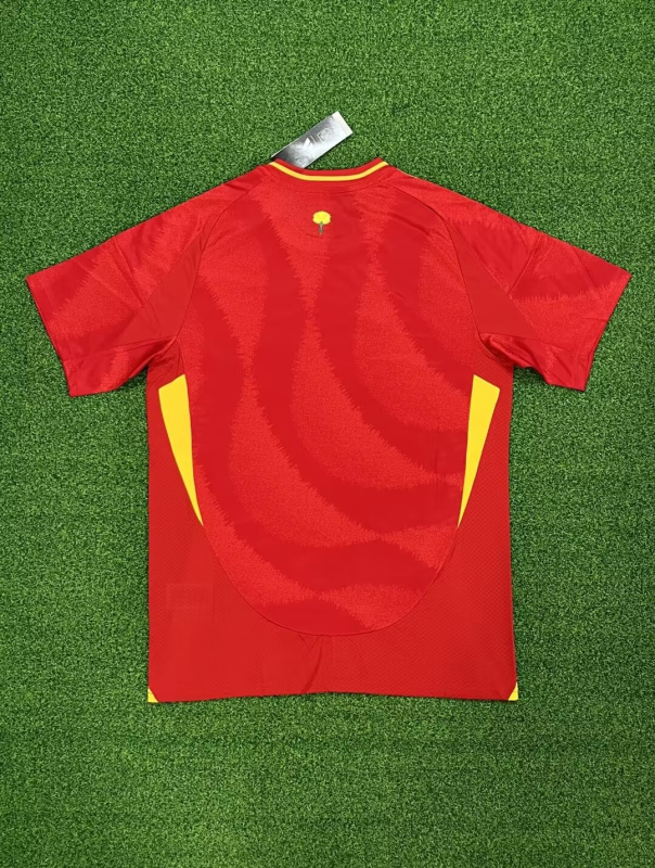 Spain 24/25 Home kit