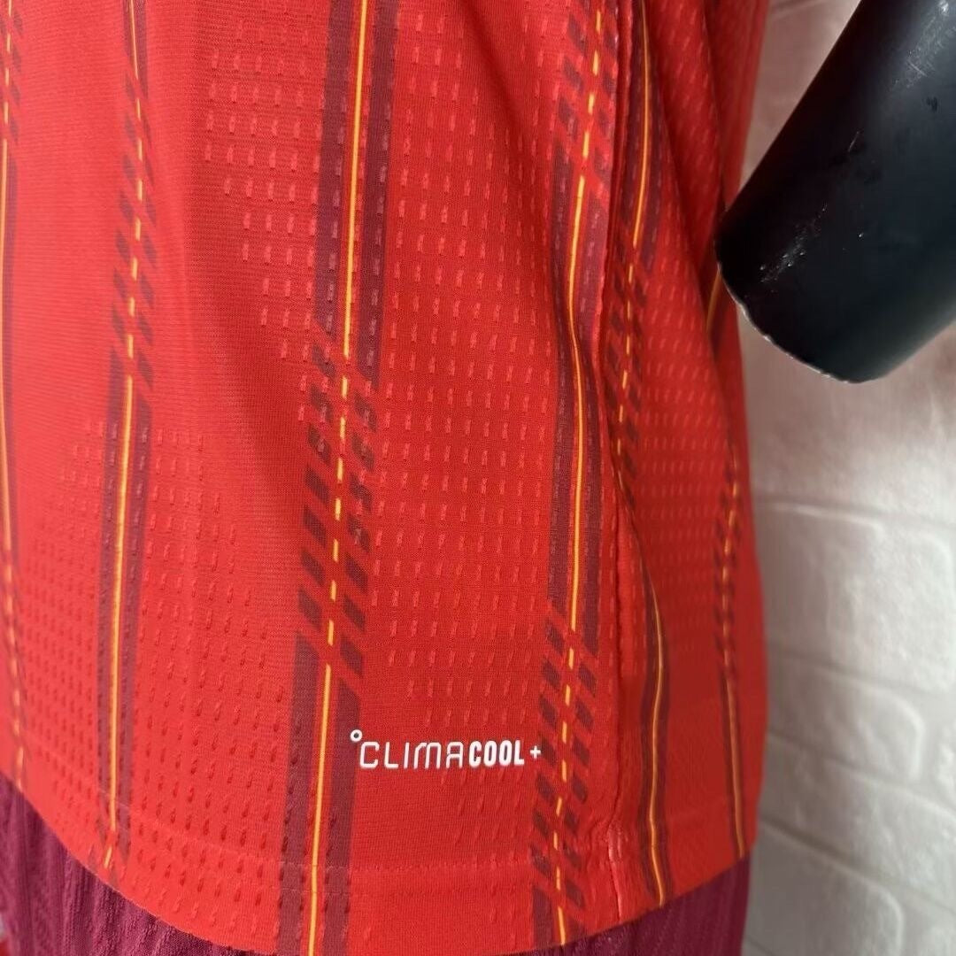 Spain 26 Home Kit Player Version