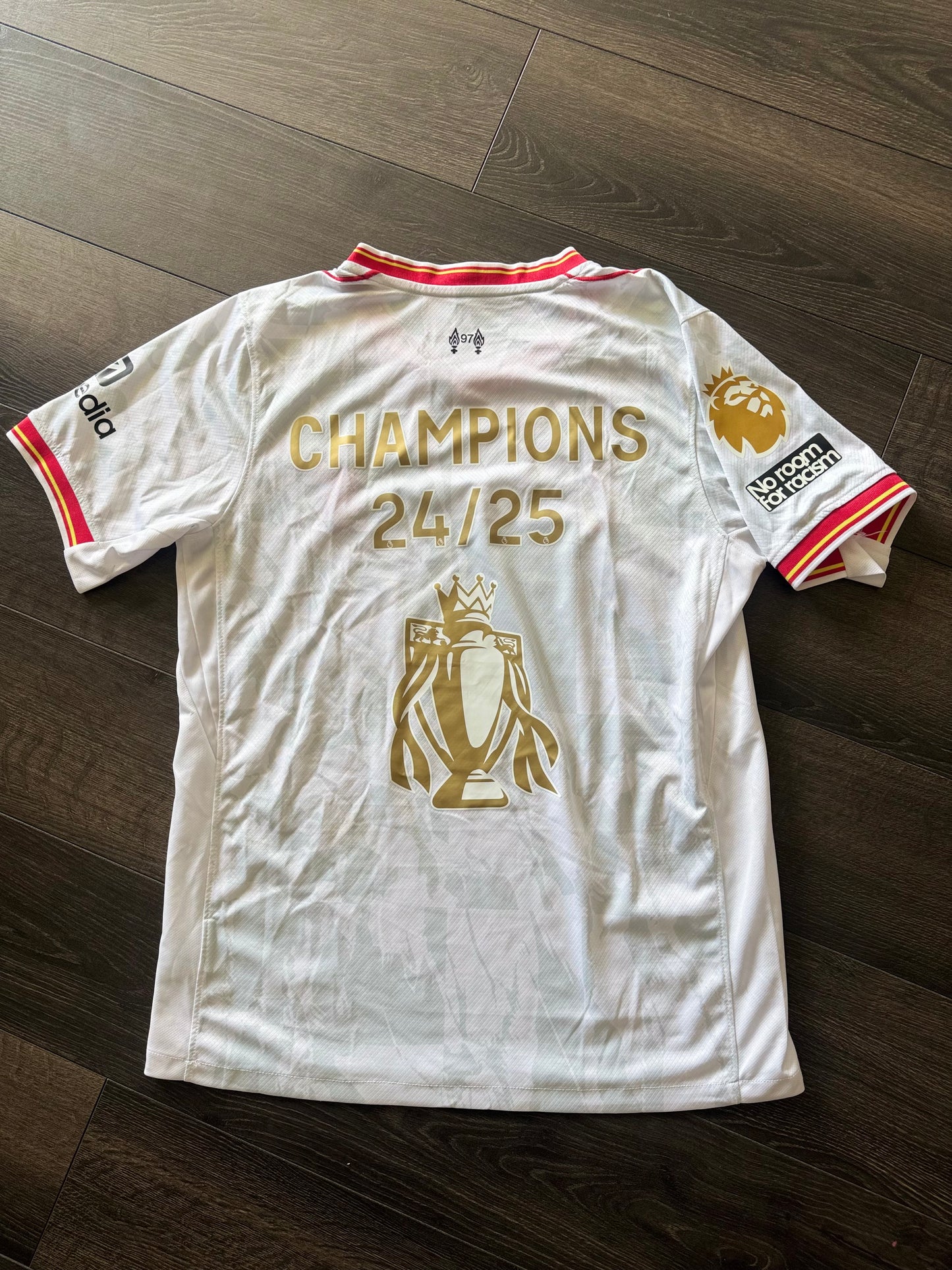 Liverpool 24/25 Third kit Champions